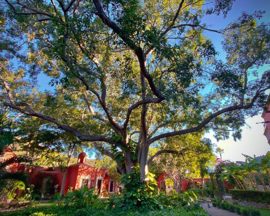 Hacienda De Los Santos Álamos المظهر الخارجي الصورة