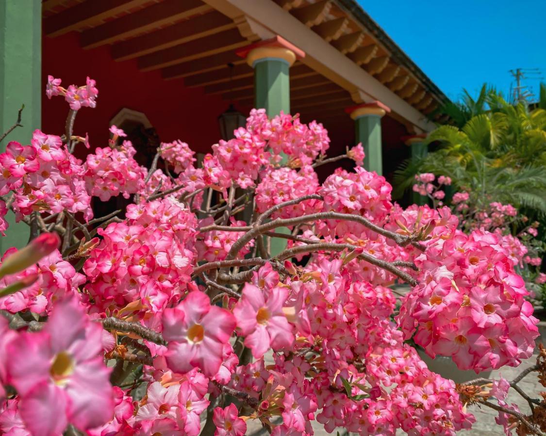 Hacienda De Los Santos Álamos المظهر الخارجي الصورة
